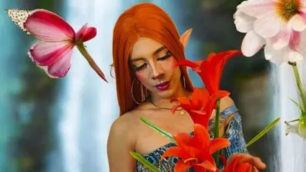 Starte eine Liveshow mit NoahNoir